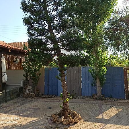 Cactus Home Kalamaki  Exteriér fotografie