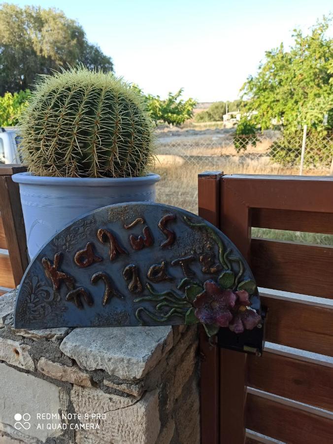 Cactus Home Kalamaki  Exteriér fotografie