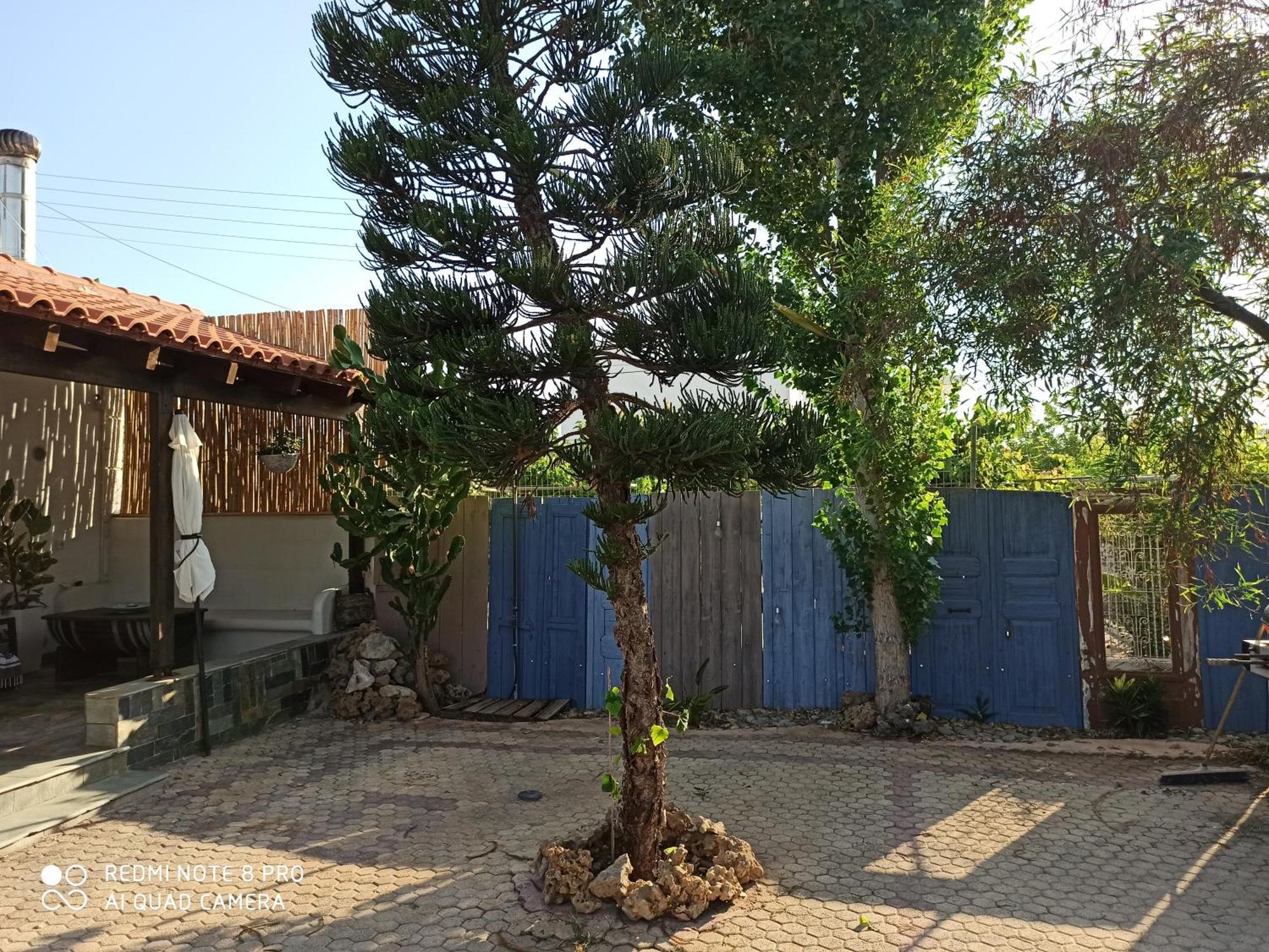 Cactus Home Kalamaki  Exteriér fotografie