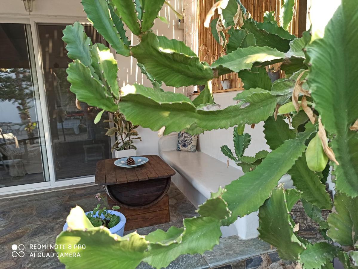 Cactus Home Kalamaki  Exteriér fotografie
