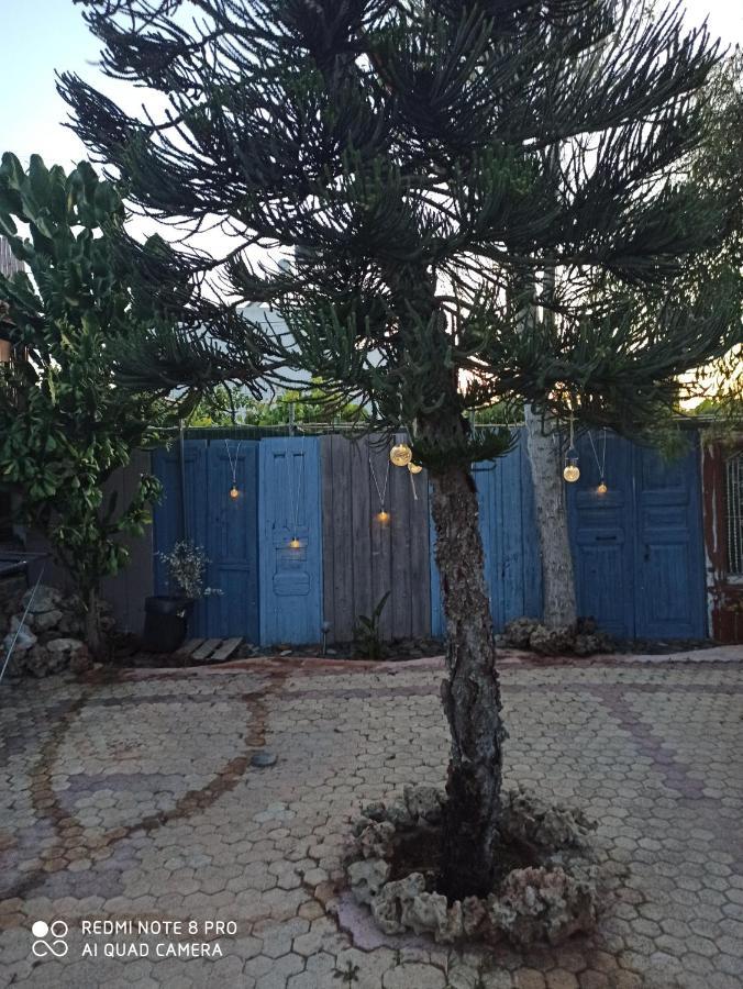 Cactus Home Kalamaki  Exteriér fotografie